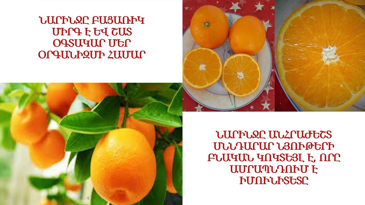 ՆԱՐԻՆՋԸ ԲԱՑԱՌԻԿ ՄԻՐԳ Է ԵՎ ՇԱՏ ՕԳՏԱԿԱՐ ՄԵՐ ՕՐԳԱՆԻԶՄԻ ՀԱՄԱՐ