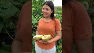 así se ve la fruta de badea por dentro @camilamoreira5083 #sabiadocampo #camilia #naturaleza