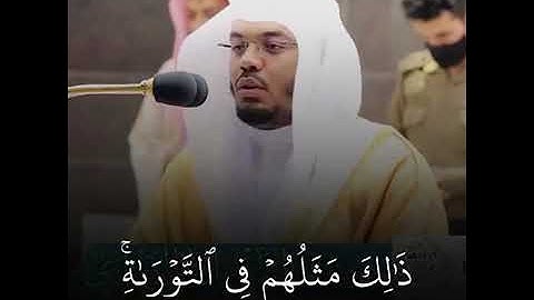 محمد رسول الله تلاوة خاشعة للشيخ ياسر الدوسري حالات واتس       Yasser Al Dossary   Quran Karim.