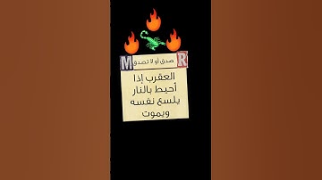 #شعب_الصيني_ماله_حل #اكسبلور #تيك_توك #اهميه #لايك #سورة_الكهف