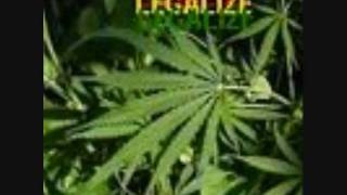 10ft Ganja Plant Chalwa
