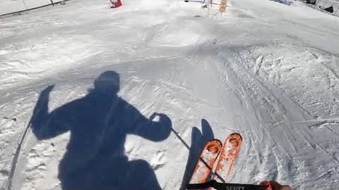 Deb Armstrong skis the zipperline, Mogul Skiing