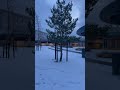 Snow in denmark / Copenhagen / winter time / snowfall in january