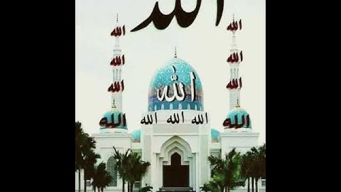 فاتحة سورة البقرة الشيخ ممدوح عبداللاه الهاشمي