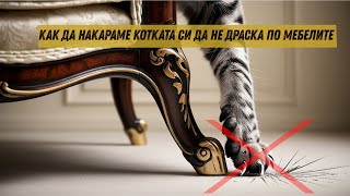 :          
