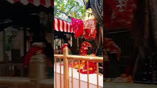 Chintpurni Mata jaimatarani matabhajan new sorts Please Like And Subscribe My Channel 