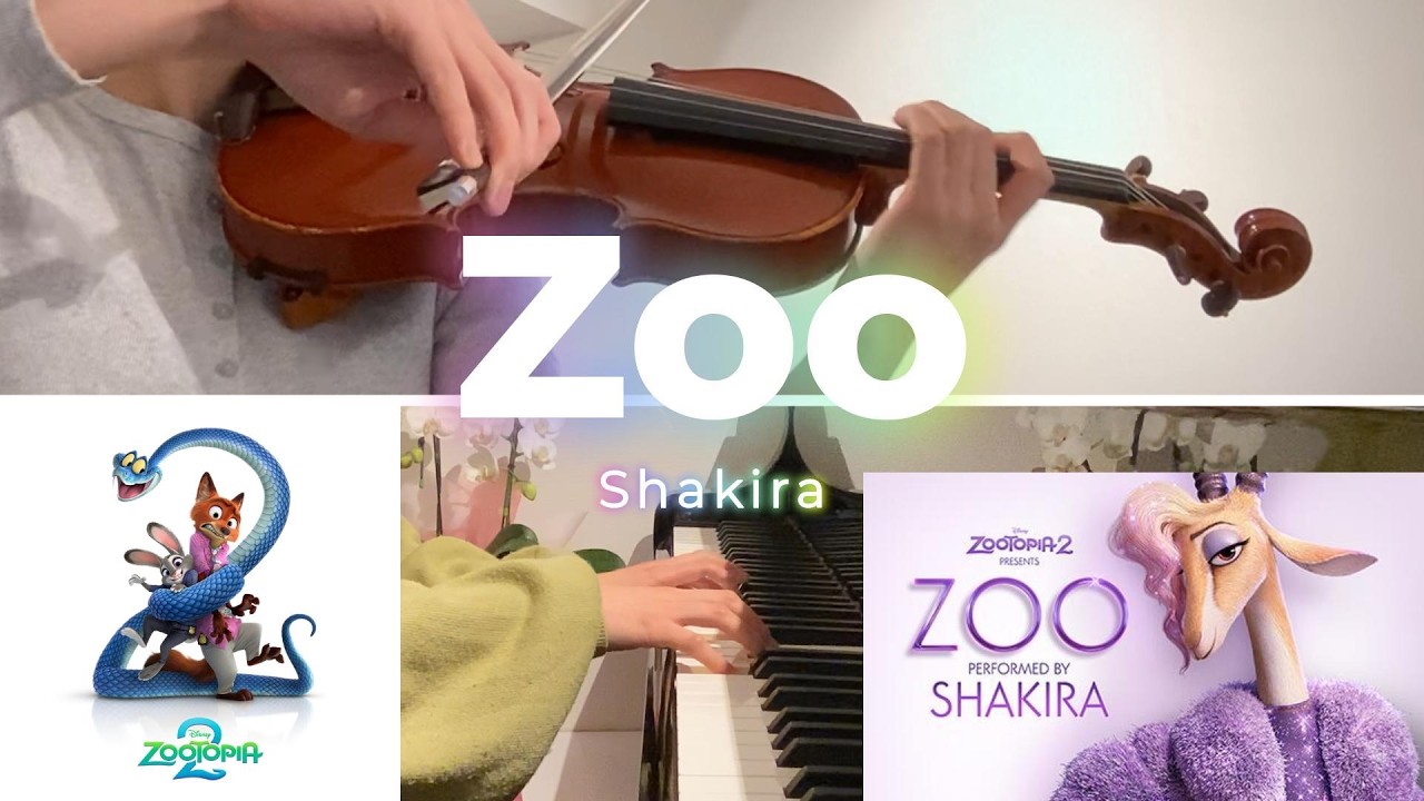 弦楽器 43-zoo Zoo - Shakira | piano & violin cover - YouTube