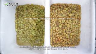Famous AI Fruit Sorting Machine | Mango, Blueberry, Grape Sorting with Defect Detection Profile