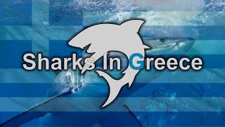 Καρχαρίες Των Ελληνικών Θαλασσών (Μέρος Τέταρτο) Resimi