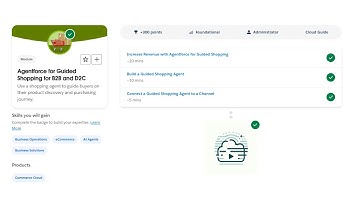 Agentforce for Guided Shopping for B2B and D2C - Salesforce Trailhead