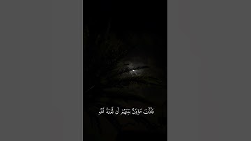 سورة الأعراف الشيخ #ياسر_الدوسري عن