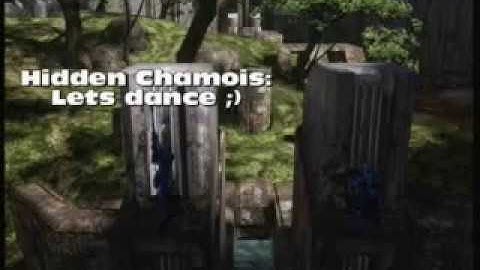 Hidden Animals: HLG Hiding Tactics On Isolation