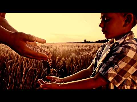 GSI - O AGRO não vai para
