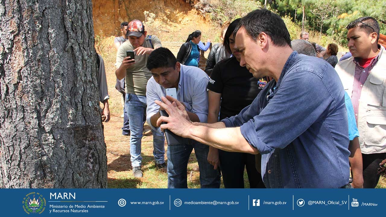 Especialistas alemanes comparten experiencias sobre combate al gorgojo descortezador