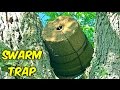Setting Up Bee Swarm Trap - Beekeeping