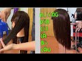 Hướng dẫn cắt tóc lá Bồ câu - teach pigeon haircut