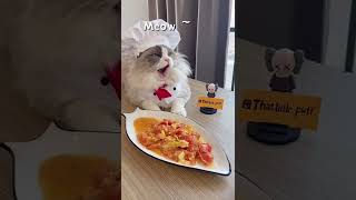 Cats make food 2022 That Little Puff Tiktok Compilation 1072 4 3 by DJ REAT REMAX BLOGGER 1 view 1 year ago 2 minutes, 22 seconds
