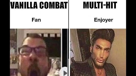 Average Vanilla Combat Fan vs. Average MultiHit Enjoyer