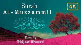 এ যেন এক জান্নাতী সূর!💗 Surah Al Muzzammil. Recited by Ridjaal Ahmed