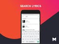 Find A Song By Lyrics Mp3 Song