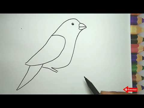 Video: Cara Menggambar Burung Bulbul
