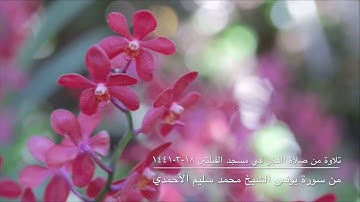 تلاوة من صلاة الفجر في مسجد القبلتين ١٨-٣-١٤٤١ من سورة يونس  الشيخ محمد سليم الأحمدي