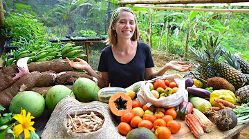 Como produzir seu próprio alimento?