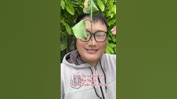 Cảm ơn và biết ơn / Trương Tuấn Sóc Cảnh