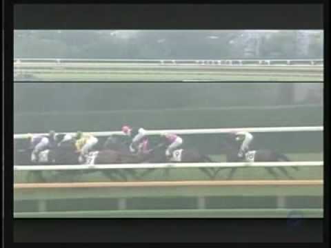 2001年　日本ダービー　ジャングルポケット　角田晃一.mp4