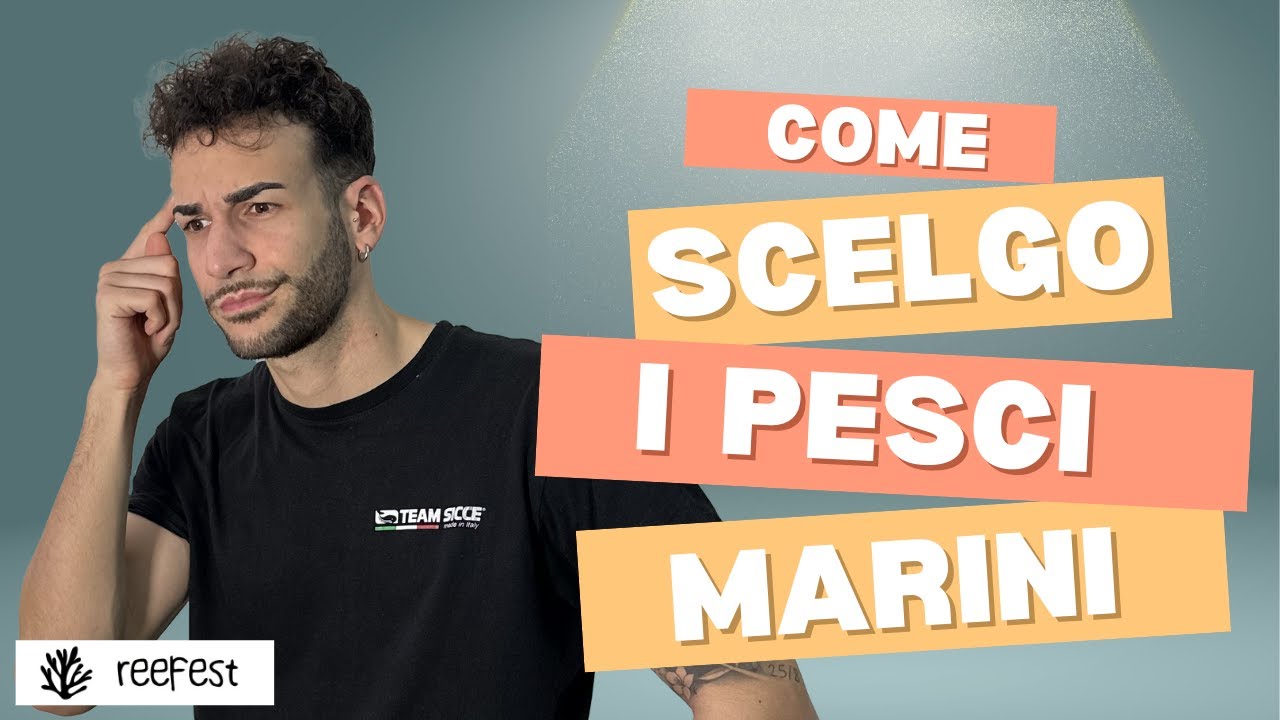 NON SBAGLIARE! Come scelgo i Pesci per il Mio Acquario Marino - YouTube
