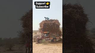 #village life #desert #trendingshorts #trendingshort #jeep#load #unfrez #desiviilagelifetstyle