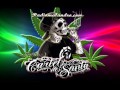 Cartel De Santa(((2014 Tema Inedito))) Conexiones
