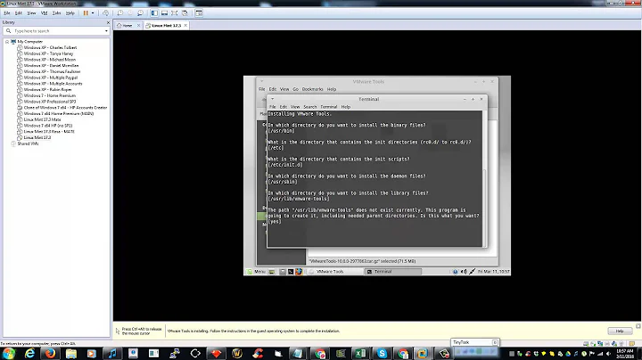 Linux Mint Fullscreen Fix on VMware Workstation