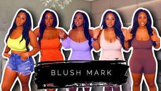 #Blushmark #Try-on Haul M\/L || SHEIN dupe || Baddie On A Budget *Midsize Edition* | Lauren Chanel