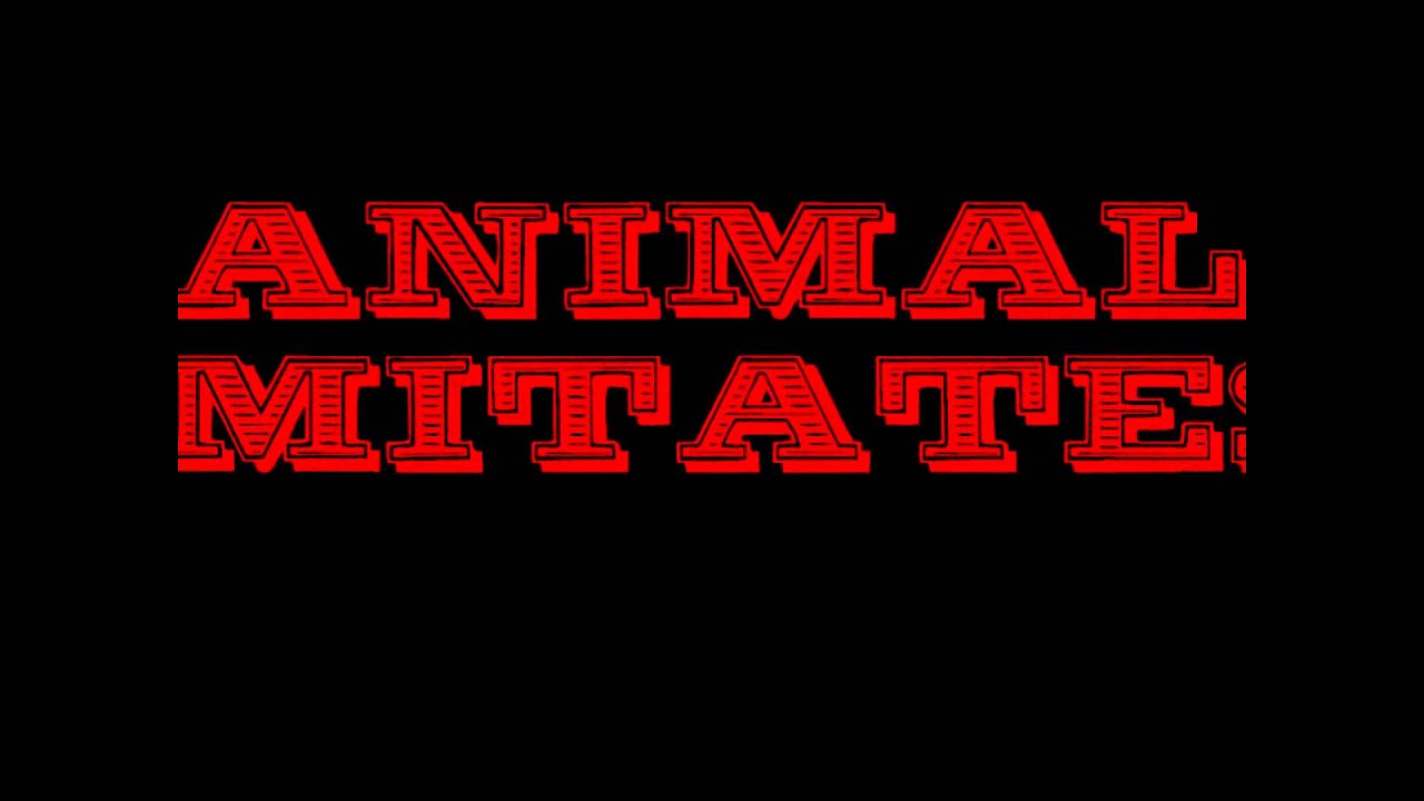 Animal Imitates 1 YouTube