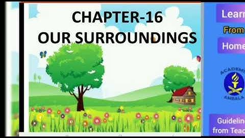 Class IV / EVS / L-16 Our Surroundings