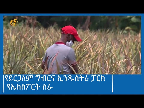 የይርጋለም ግብርና ኢንዱስትሪ ፓርክ የኤክስፖርት ስራ