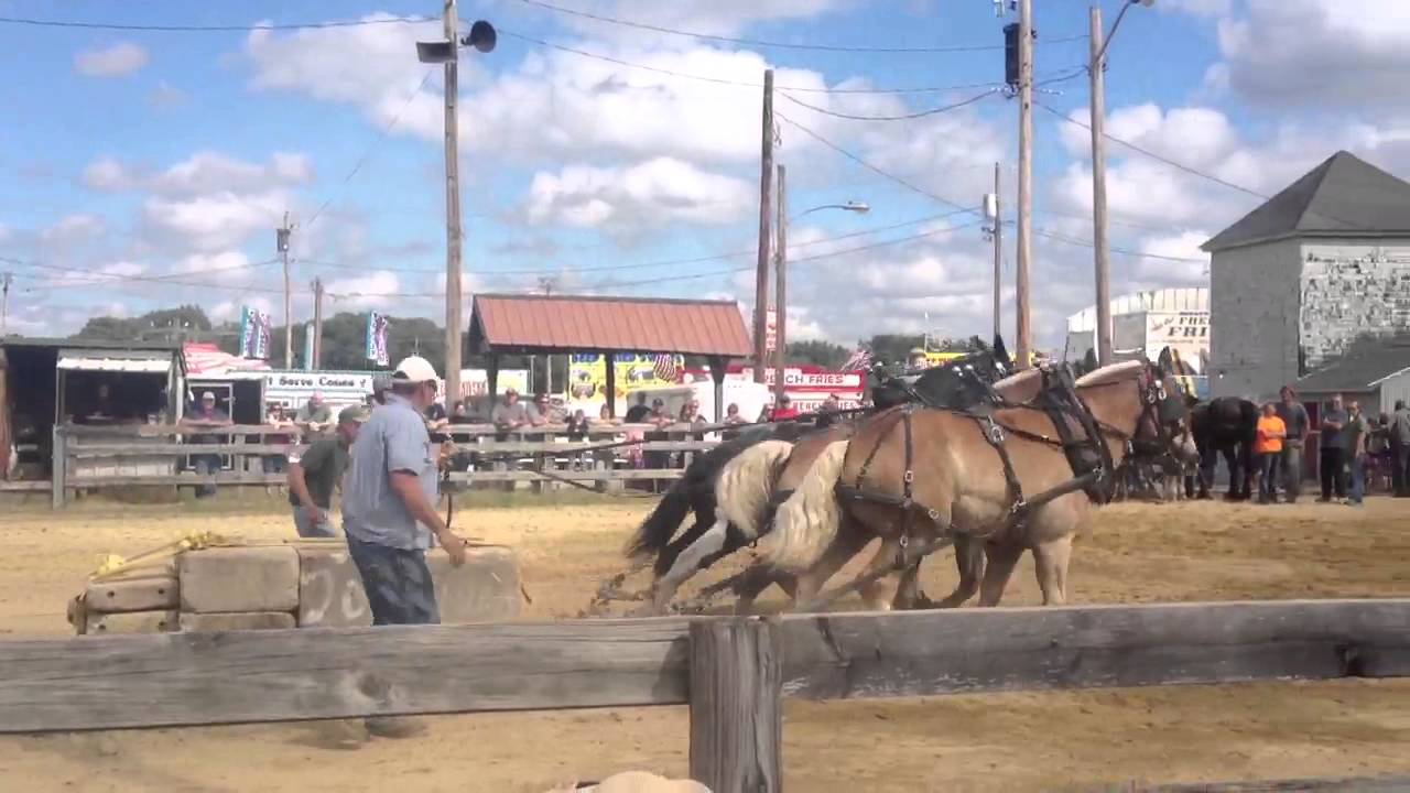 Horse Pull Rochester Fair 2013 3 horse pulling YouTube