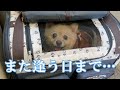 お別れの日がやってきました…