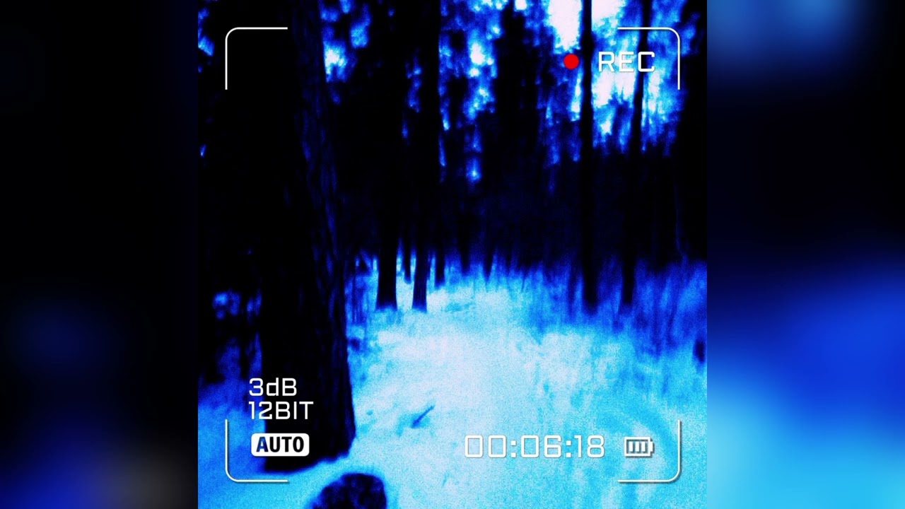 DRAKEXXX - Still Breeze