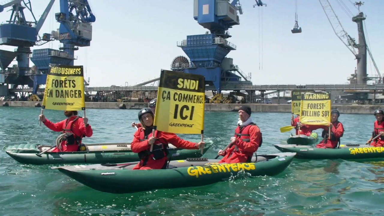 [Action] Greenpeace bloque un cargo de soja à Sète