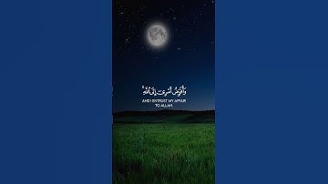 وافوض امرى الى الله ان الله بصير بالعباد.... القرآن راحه نفسيه تلاوة هادئة للقارئ الشيخ هزاع البلوشي