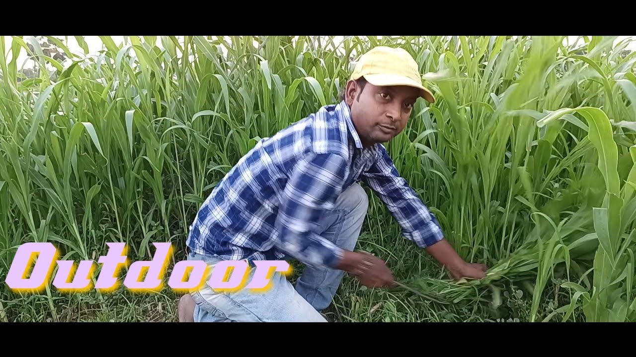 ASMR | Outdoor in my village