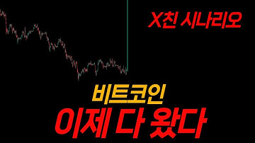 비트코인 차트보는 서울대생 실시간 분석(LIVE)