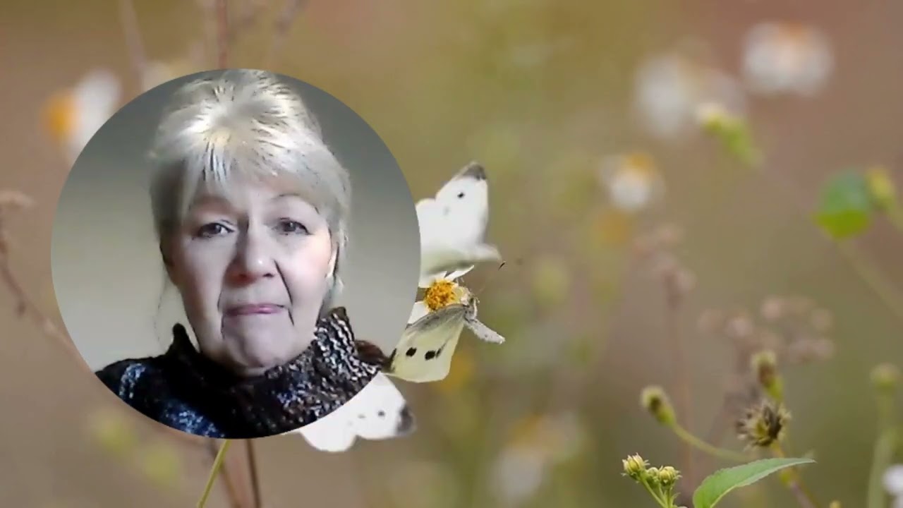 The Global Evolution in Natural Healing: Herbal Wisdom for Everyone