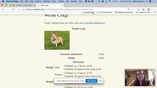 Using Immersive Reader on Microsoft Edge