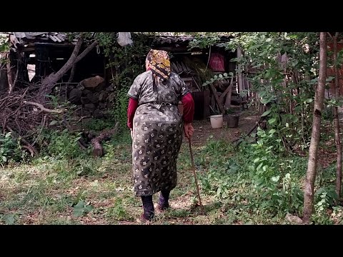 სოფლის Vlog 🐓❣️ უპასუხოდ დარჩენილი ცოლი 🤷🤣 კონებად აკინძული ვიდეო 🌸