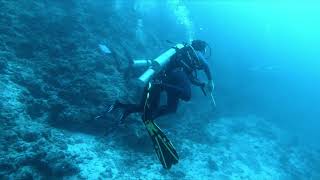 Seazaa Gang Maldives 2023 Dive5 Arches Art