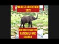 Queen Elizabeth National Park 2025|What To Expect!#queenelizabethnationalpark#nationalpark#uganda