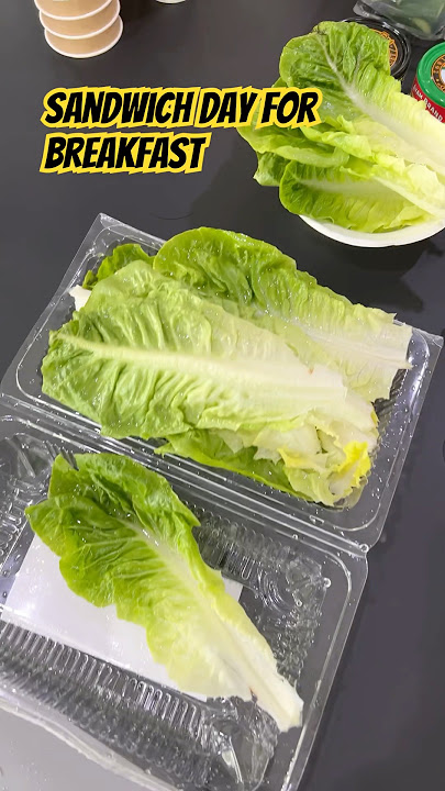 Sandwich day for breakfast  #singaporean #breakfast #ownmade